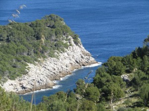 IMG_4468 (Medium)
